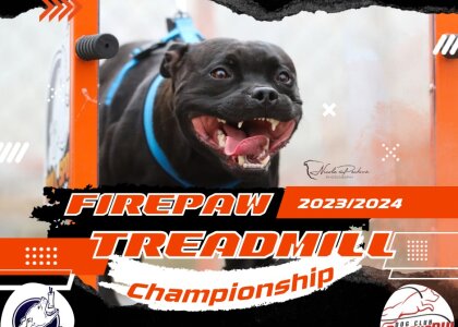 6. závod - CHAMPIONSHIP 2023/2024